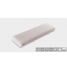 Световой указатель аварийного освещения люминесцентный PASSAT BS-1120-1x18 T8 18Вт централизованный накладной IP50  a8946  Белый свет