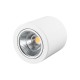 Светильник SP-FOCUS-R140-30W Day White  021428  Arlight