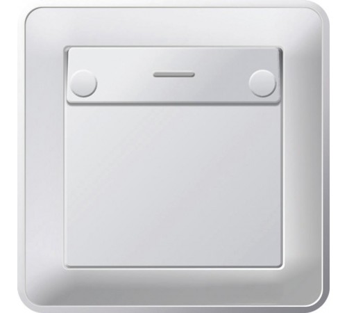 W59 Матовый хром Выключатель карточный 16А (в сборе)  VS616-051-58  SE