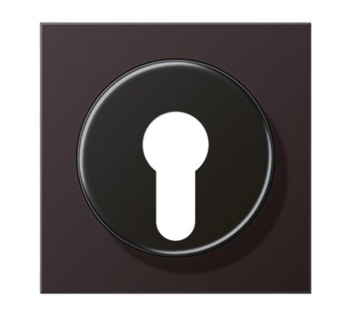 крышка для выключателя с замком AL2928D Jung