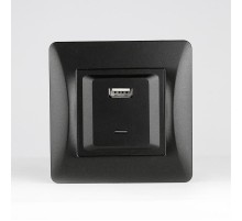 Розетка 2xUSB A/C, 125-250V (антрацит)  201027  SPL