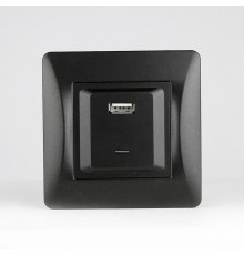 Розетка 2xUSB A/C, 125-250V (антрацит)  201027  SPL