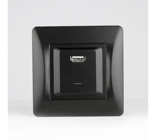 Розетка 2xUSB A/C, 125-250V (антрацит)  201027  SPL