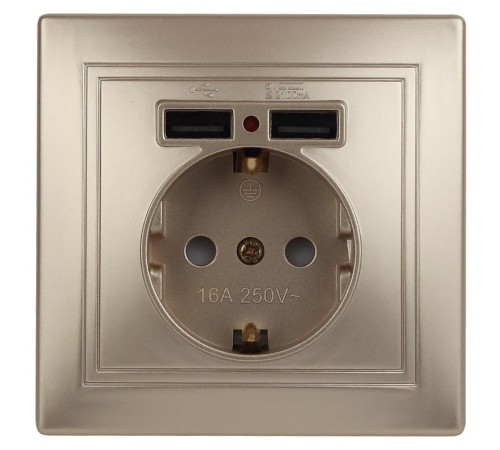 1-410-04 Intro Розетка+USB, IP20, СУ, Plano, шампань  Б0043250  Intro