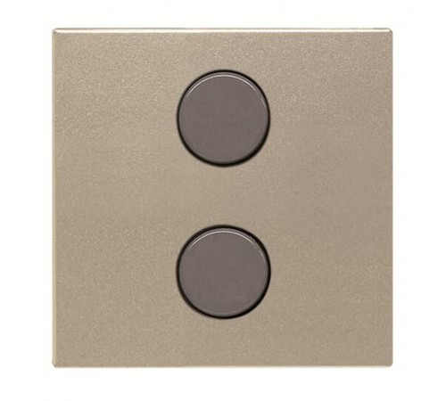 SR-2-N2CV Центральная плата 2-кнопочная free@home, Zenit, шампань  SR-2-N2CV   2CLA222620N1902  ABB