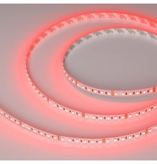 Лента светодиодная RT-G120-8mm 24V RGB (11 W/m, IP20, 3838, 5m) (arlight, Открытый)  026832(2)  Arlight