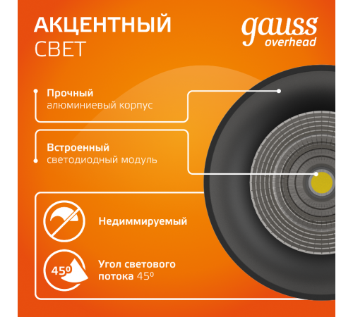 Светильник светодиодный накладной HD029 12W (черный/черный) 3000K 79x200мм  HD029  Gauss