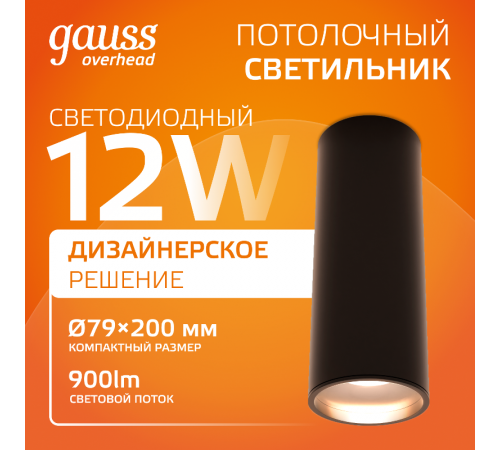 Светильник светодиодный накладной HD029 12W (черный/черный) 3000K 79x200мм  HD029  Gauss