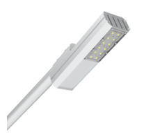 Светодиодный светильник уличный Uran Mini 60 Вт Basic Yard 4000 K  B1-S1-70459-40L05-6506040  VARTON