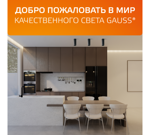 Светильник  Overhead накл цил 12W 900lm 3000K 170-240V IP20 79*100мм черный LED 1/10  HD008  Gauss