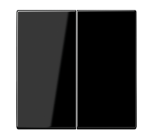 Двойная клавиша для балансирных механизмов выключателей (кнопок), в комплекте с CD95HP (крепежный элемент), возможно IP44; дюропласт; черный; LS990  