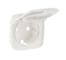 Valena ALLURE Жемчуг Накладка розетки с/з с крышкой  754849  Legrand