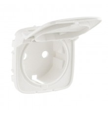 Valena ALLURE Жемчуг Накладка розетки с/з с крышкой  754849  Legrand