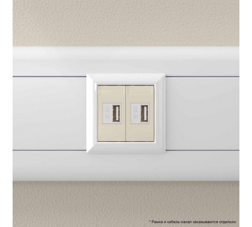 USB зарядное устройство "Ванильная дымка", "Avanti", 2.1А, 2 мод.  4405542  DKC