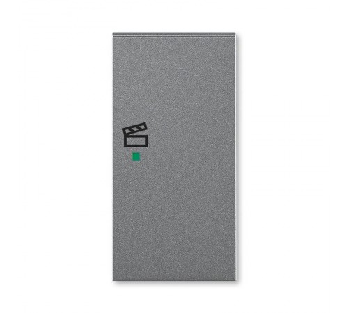 ABB Levit Сталь Клавиша 2-ая правая с символом сцены free@home  6220H-A02203 69  2CHH622203A4069  ABB