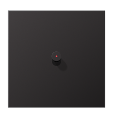 Центральная плата, 1 пост, 1 тумблер, конус c окошком; металл; Dark; серия LS  AL12-0KODK01  Jung