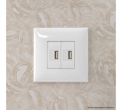 USB зарядное устройство в стену, "Avanti", "Белое облако"  4400543  DKC