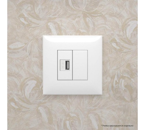 USB зарядное устройство в стену, "Avanti", "Белое облако"  4400543  DKC