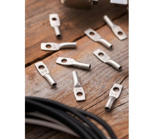 Наконечник медный луженый   ТМЛ 4-5-3 EKF PROxima  tml-4-5-3-g  EKF