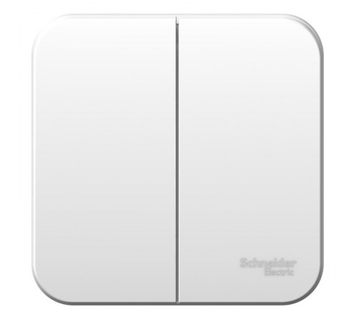 Blanca Белый О/У Выключатель 2-клавишный, 10А, 250B  BLNVA105001  SE