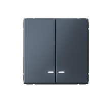 ArtGallery Грифель Выключатель 2-клавишный с подсветкой, сх.5а, 10АХ, механизм  GAL000753  SE