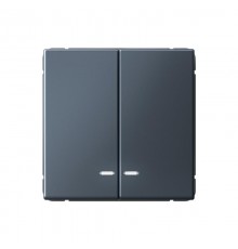 ArtGallery Грифель Выключатель 2-клавишный с подсветкой, сх.5а, 10АХ, механизм  GAL000753  SE