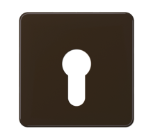 центральная плата для вставки с ключом  CD525BR  Jung