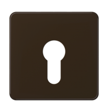 центральная плата для вставки с ключом  CD525BR  Jung