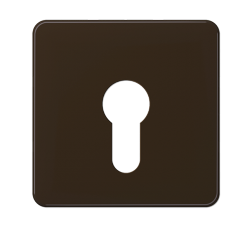 центральная плата для вставки с ключом  CD525BR  Jung