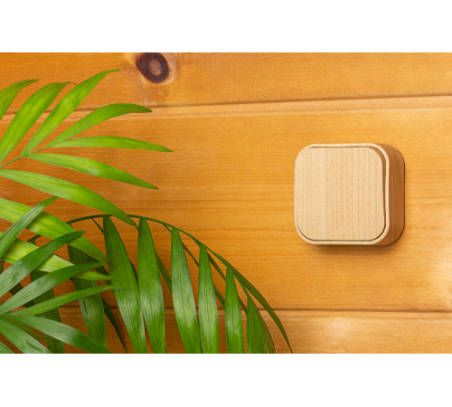 Quteo Сосна Выключатель 1-клавишный 10А  782260  Legrand