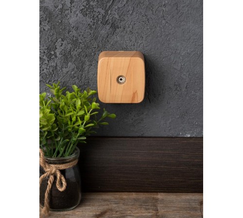 Розетка TV 1-местная ОП Минск 75Ом 5-862МГц светлое дерево EKF  EGA00-027-30  EKF