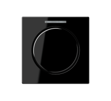 Накладка со световодом A1540KO5SW Jung