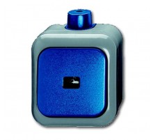 Кнопка 1-клавишная, 1-полюсная, с нормально-открытым контактом, с N-клеммой, IP66, для о/у, серия Busch  1483-0-0171   2CKA001483A0171  ABB