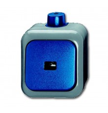 Кнопка 1-клавишная, 1-полюсная, с нормально-открытым контактом, с N-клеммой, IP66, для о/у, серия Busch  1483-0-0171   2CKA001483A0171  ABB