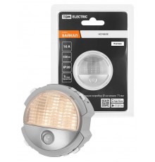 Ночник платина, "Байкал"   SQ1819-0348  TDM