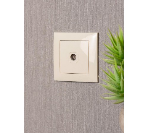 Валенсия розетка телевизионная 1-местная 75Ом 5-862МГц кремовая EKF PROxima   EWA00-027-20   EKF