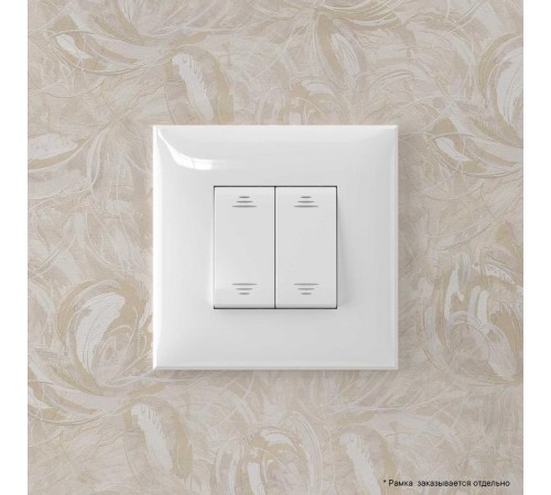 Инвертор двухклавишный в стену, "Avanti", "Белое облако"  4400124  DKC
