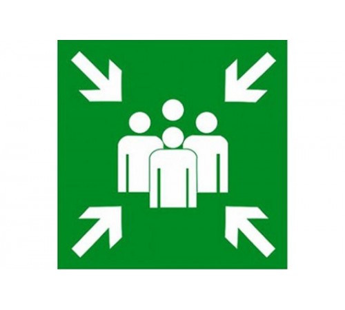 Эвакуационный знак ЭП20 Пункт (место) сбора 350x350 мм  ЭП20 350350  TechnoLux