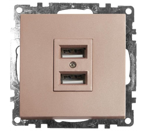 Розетка 2-местная USB (механизм), 250В, 2,4А, серия Катрин, GLS10-7115-02, шампань  39602  STEKKER
