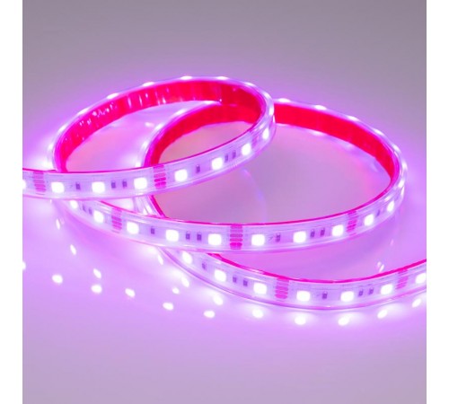 Лента светодиодная герметичная RTW-PS-B60-12mm 12V RGB (14.4 W/m, IP67, 5060, 5m) (arlight, -)  021402(2)  Arlight