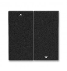 ABB Levit Антрацит / дымчатый чёрный Сменная панель на клавишу для выключателя жалюзи Антрацит  ND3559H-A447/1 63  2CHH594471A8063  ABB