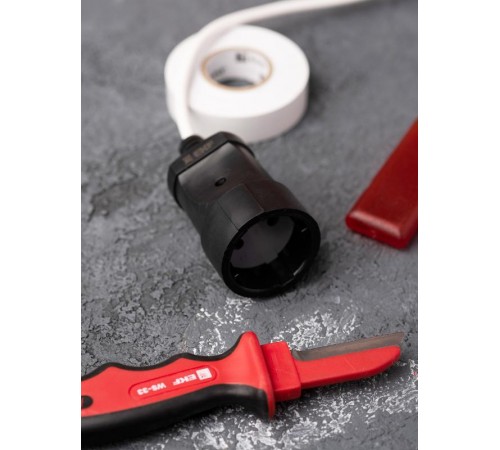 Гнездо штепсельное б/з черн. ПВХ 10A 250B EKF PROxima  ASGO10-30  EKF