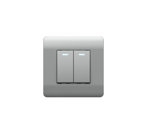 Выключатель 2-клавишный с подсветкой, 10А, серебряный(NEW3-E)  431397  CHINT
