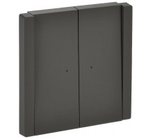 FORTE&PIANO Выключатель 2-клавишный с индикацией 10А FP306 серый  FP-V20-1-10-1-K03  IEK