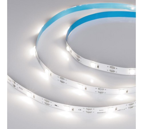 Лента светодиодная RT-5000-6060LENS-20-12V Day4000 (10mm, 10W/m, IP20) (arlight, Открытый)  030893  Arlight