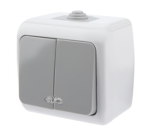 5-105-03 Выключатель двойной с подсветкой, 10А-250В, IP54, ОУ, Atlantic, серый  Б0050944  Intro