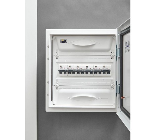 Выключатель автоматический двухполюсный M06N 2P B 50А 6кА ARMAT  AR-M06N-2-B050  IEK