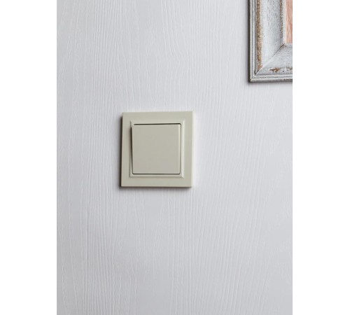 BRITE Выключатель 1-клавишный 10А в сборе ВСР10-1-0-БрКр бежевый  BR-V10-0-10-K10-F  IEK