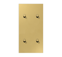 Центральная плата, 2 поста, для вертикальной установки, тумблеры 2+2, цилиндр; металл; латунь classic; LS1912  ME12-25CR25  Jung