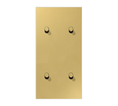 Центральная плата, 2 поста, для вертикальной установки, тумблеры 2+2, цилиндр; металл; латунь classic; LS1912  ME12-25CR25  Jung